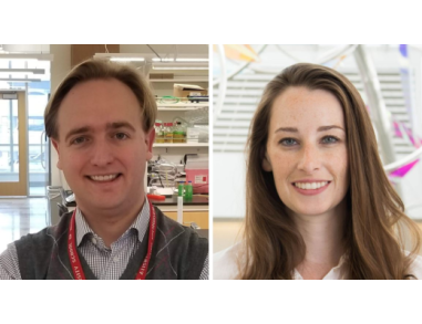 “Post-Implantation Blastoids” Featuring Drs. Thorold Theunissen and Rowan Karvas