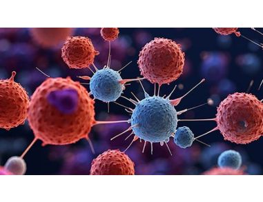 Stimulation of Antigen-Specific T Cells Using Peptide Pools
