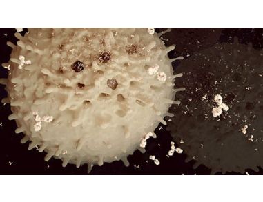 How to Isolate Antigen-Specific T Cells