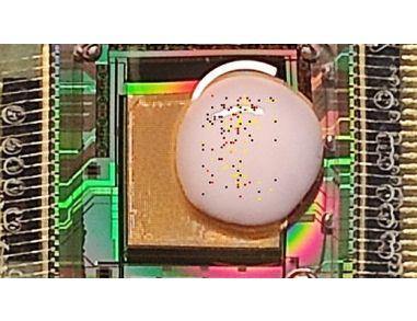 Measuring Neuronal Activity in Human Pluripotent Stem Cell-Derived Cerebral Organoids on 3D High-Density Multi-Electrode Arrays