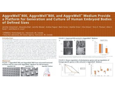 Aggrewell™ 400, Aggrewell™ 800, and Aggrewell™ Medium Provide a Platform for Generation and Culture of Human Embryoid Bodies of Defined Sizes