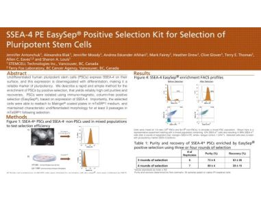 SSEA-4 Pe EasySep™ Positive Selection Kit for Selection of Pluripotent Stem Cells