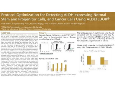 Protocol Optimization for Detecting ALDH-Expressing Normal Stem and Progenitor Cells and Cancer Cells Using ALDEFLUOR™