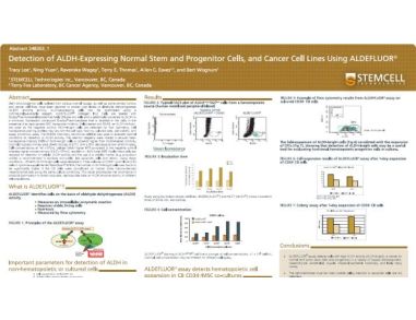 Detection of ALDH-Expressing Normal Stem and Progenitor Cells, and Cancer Cell Lines Using ALDEFLUOR™