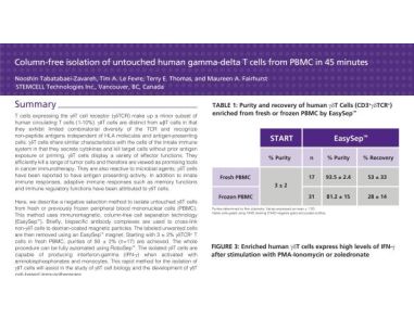 Immunomagnetic Cell Isolation of Human Gamma-Delta T Cells from PBMC