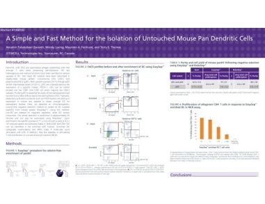 Isolation of Untouched Mouse pan Dendritic Cells