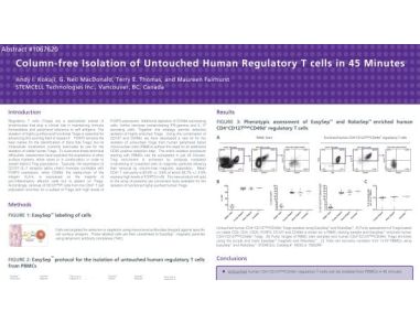 Immunomagnetic Cell Isolation of Untouched Human Regulatory T Cells
