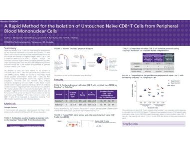 Cell Isolation to Obtain Untouched Na&iuml;ve CD8 T Cells from Peripheral Blood Mononuclear Cells (PBMCs)
