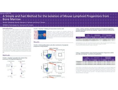Cell Isolation of Mouse Lymphoid Progenitors from Bone Marrow