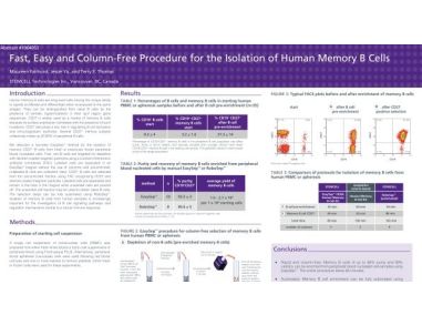 Cell Isolation of Human Memory B Cells