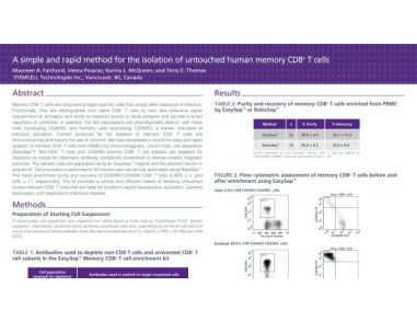 Cell Isolation of Untouched Human Memory CD8+ T Cells