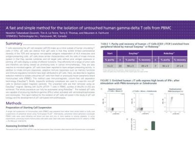 Cell Isolation of Untouched Human Gamma-Delta T Cells from PBMC