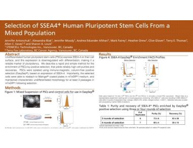 Selection of SSEA4+ Human Pluripotent Stem Cells from a Mixed Population