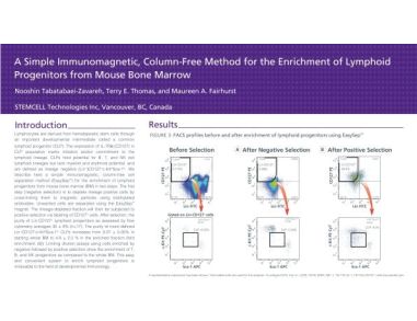 Immunomagnetic Cell Enrichment of Lymphoid Progenitors from Mouse Bone Marrow