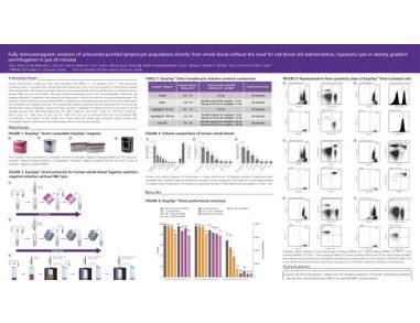 Immunomagnetic Cell Isolation of Untouched Lymphocyte Populations Directly from Whole Blood