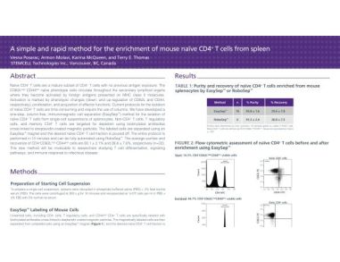 Cell Enrichment of Mouse Na&iuml;ve CD4+ T Cells from Spleen