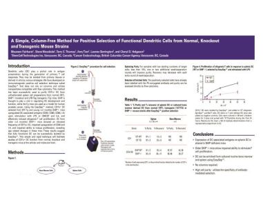 Column-Free Positive Selection of Functional Dendritic Cells from Mouse Strains
