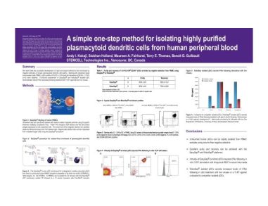 Isolation of Plasmacytoid Dendritic Cells from Human Peripheral Blood
