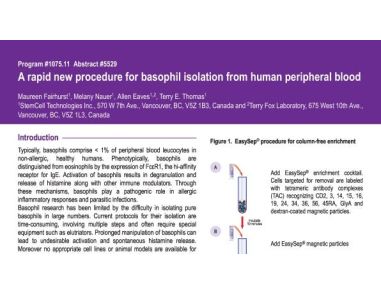 Basophil Isolation from Human Peripheral Blood