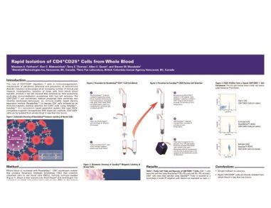 Isolation of CD4+CD25+ from Whole Blood