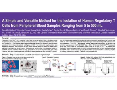 Isolation of Human Regulatory T Cells from Peripheral Blood Samples