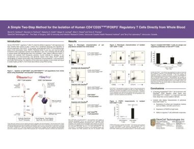 Isolation of Human CD4+CD25+Bright/Foxp3+ Regulatory T Cells Directly from Whole Blood