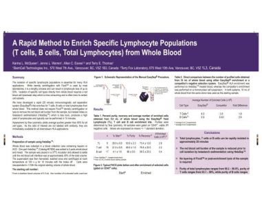 Cell Enrichment of Specific Lymphocyte Populations (T Cells, B Cells, Total Lymphocytes) from Whole Blood