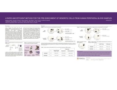 Pre-Enrichment of Dendritic Cells from Human Peripheral Blood Samples