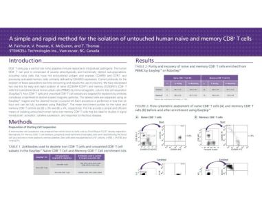 Isolation of Untouched Human Naive and Memory CD8 T Cells