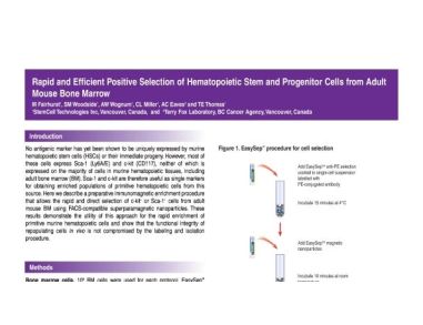 Positive Selection of Hematopoietic Stem and Progenitor Cells from Adult Mouse Bone Marrow