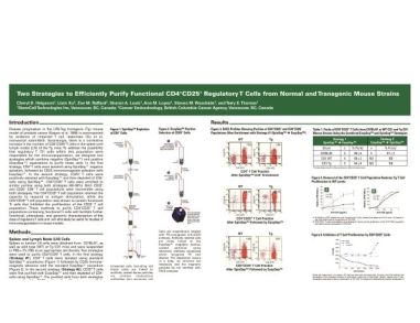 Cell Isolation of Functional CD4+CD25+ Regulatory T Cells from Mouse Strains