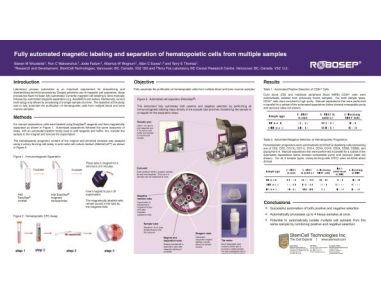 Fully Automated Magnetic Labeling and Separation of Hematopoietic Cells from Multiple Samples