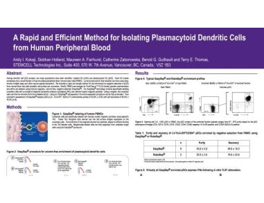 Isolation of Plasmacytoid Dendritic Cells from Peripheral Blood