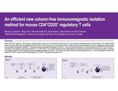 Immunomagnetic Isolation Method for Mouse CD4+CD25+ Regulatory T Cells