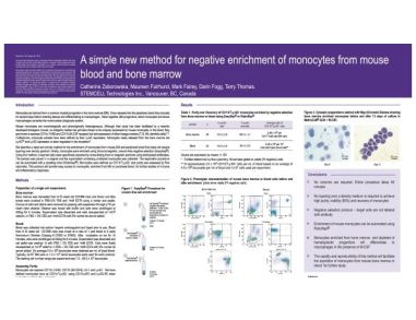 Method for Negative Enrichment of Monocytes from Mouse Blood and Bone Marrow