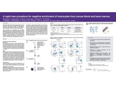 Procedure for Negative Enrichment of Monocytes from Mouse Blood and Bone Marrow