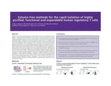 Rapid Isolation of Highly Purified, Functional and Expandable Human Regulatory T Cells