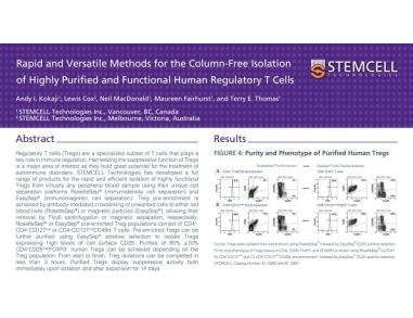 Column-Free Isolation of Highly Purified and Functional Human Regulatory T Cells