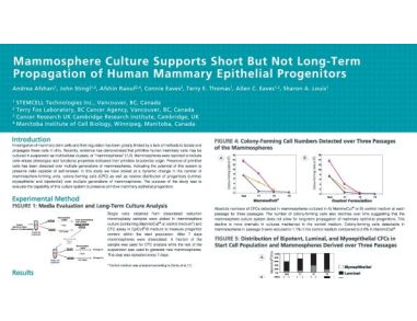 Mammosphere Culture Supports Short But Not Long-Term Propagation of Human Mammary Epithelial Progenitors