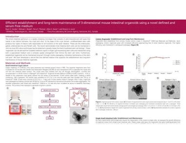 Efficient Establishment and Long-Term Maintenance of 3-Dimensional Mouse Intestinal Organoids Using a Novel Defined and Serum-Free Medium