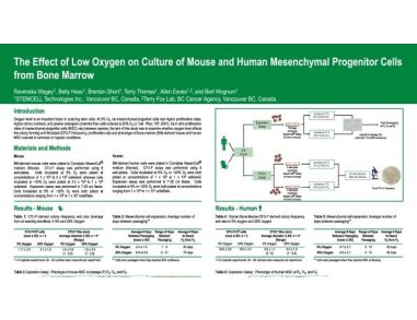 The Effect of Low Oxygen on Culture of Mouse and Human Mesenchymal Progenitor Cells from Bone Marrow