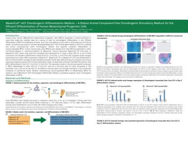 MesenCult ACF Chrondrogenic Differentiation Medium