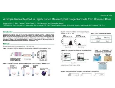 A Simple Robust Method to Highly Enrich Mesenchymal Progenitor Cells from Compact Bone