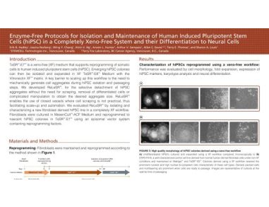 Enzyme Free Protocols for hiPSC in Xeno Free System