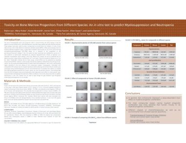 Toxicity on Bone Marrow Progenitors from Different Species: an In Vitro Test to Predict Myelosuppression and Neutropenia