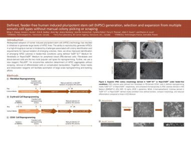 Defined, Feeder-Free Human Induced Pluripotent Stem Cell (hiPSC) Generation, Selection and Expansion from Multiple Somatic Cell Types