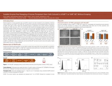 Scalable Enzyme-Free Passaging of Human Pluripotent Stem Cells Cultured in mTeSR™1 or TeSR™-E8™ Without Scraping