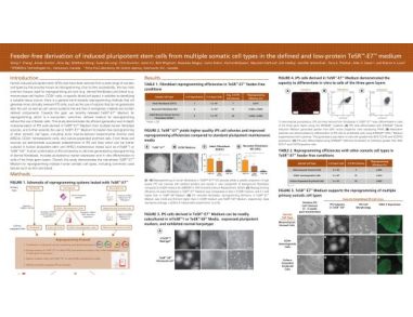 Feeder-Free Derivation of Induced Pluripotent Stem Cells from Multiple Somatic Cell Types in the Defined and Low-Protein TeSR™-E7™ Medium