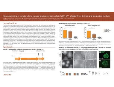 Reprogramming of Somatic Cells to Induced Pluripotent Stem Cells in TeSR™-E7™, a Feeder-Free, Defined, and Low-Protein Medium