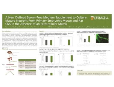 A New Defined Serum-Free Medium Supplement to Culture Mature Neurons from Primary Embryonic Mouse and Rat CNS